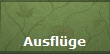 Ausflge